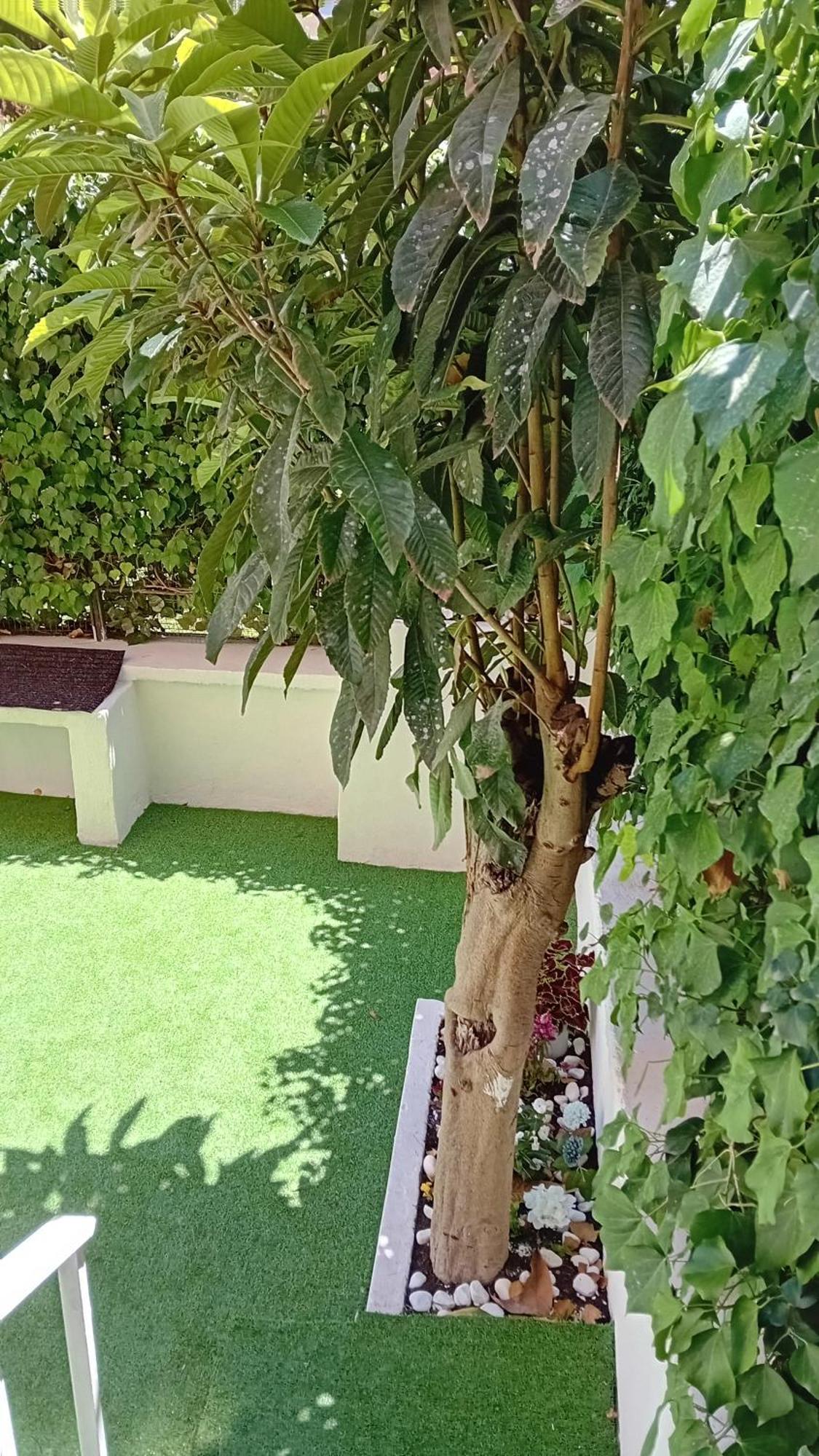 Il Giardino Di Eva Apartment *